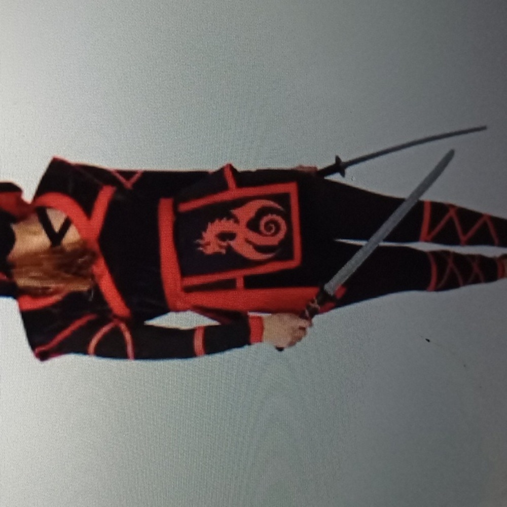 Women's Ninja Costume